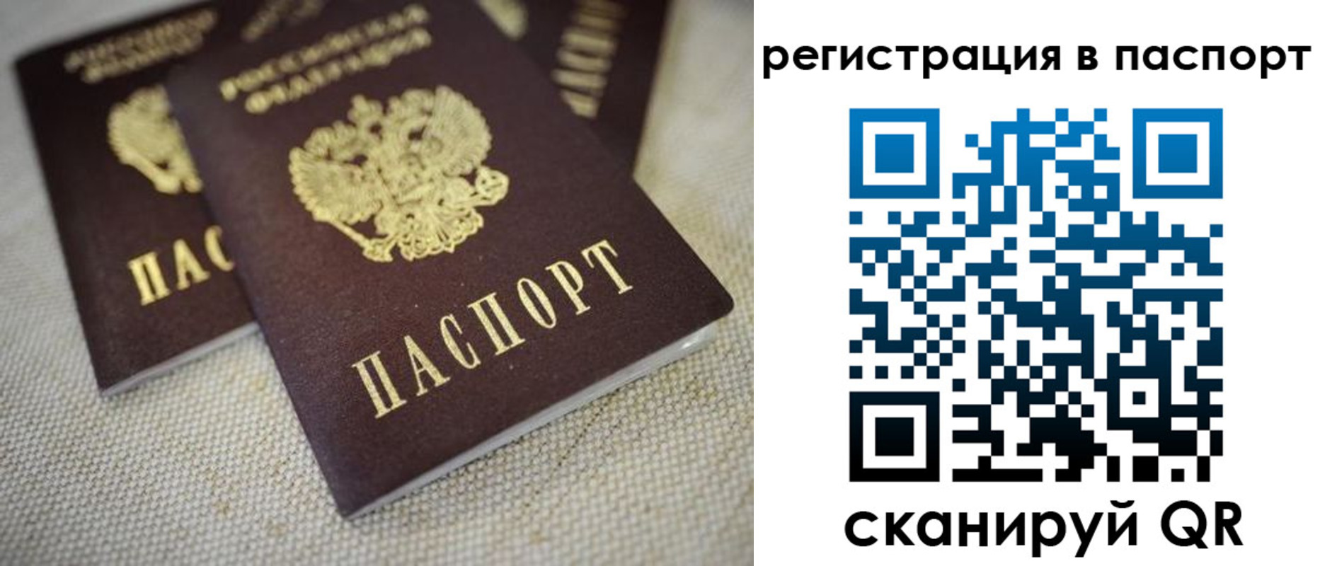 прописка гарантия в Бокситогорске